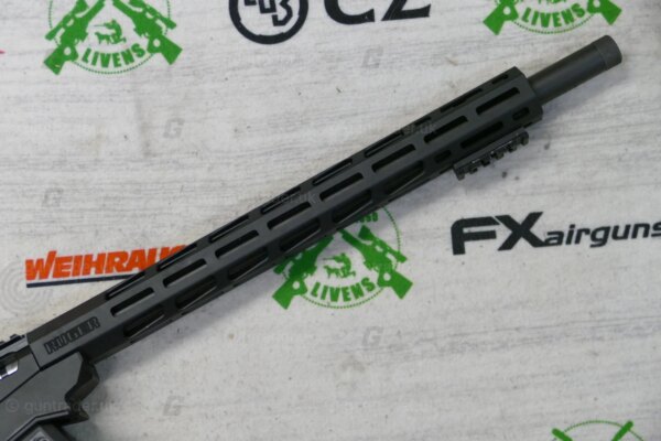 Ruger .22LR PRECISION - Image 3