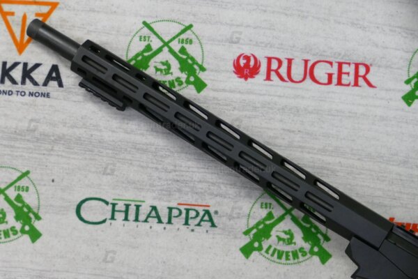 Ruger .22LR PRECISION - Image 5
