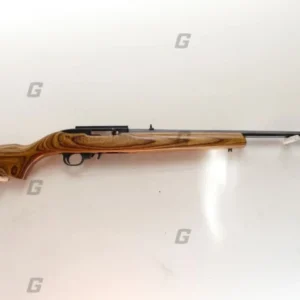 Ruger .22 LR 10/22 Custom
