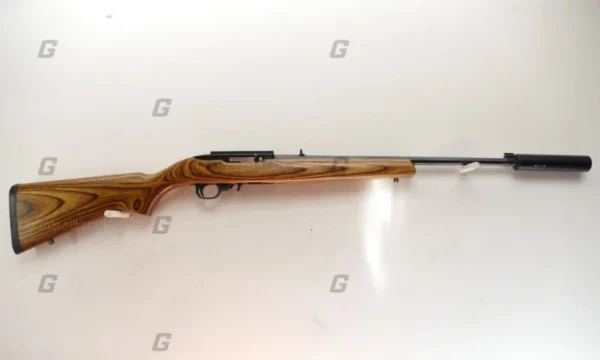 Ruger .22 LR 10/22 Custom
