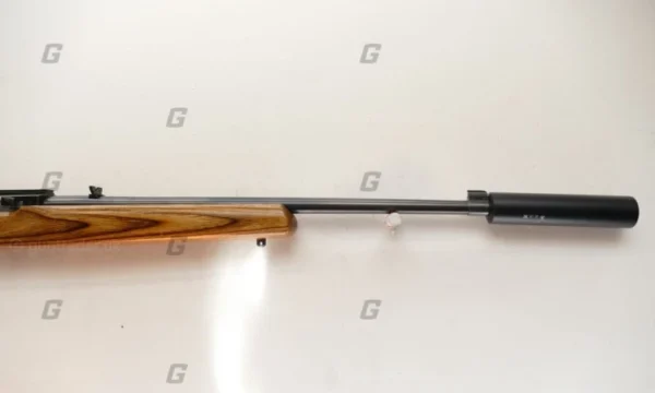 Ruger .22 LR 10/22 Custom - Image 4