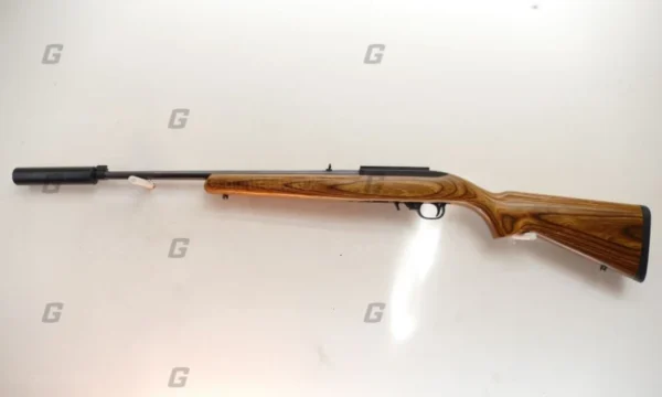 Ruger .22 LR 10/22 Custom - Image 5
