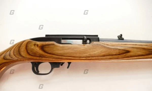 Ruger .22 LR 10/22 Custom - Image 3