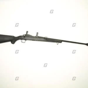 Ruger .17 HMR M77/17
