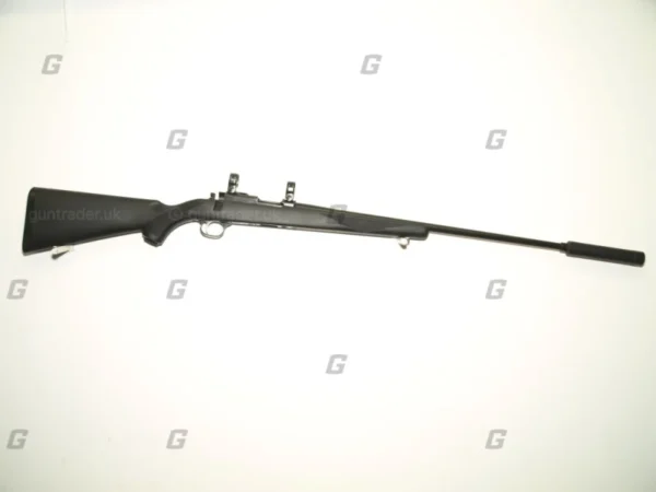 Ruger .17 HMR M77/17