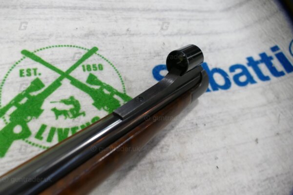 CZ .243 550 Full Stock