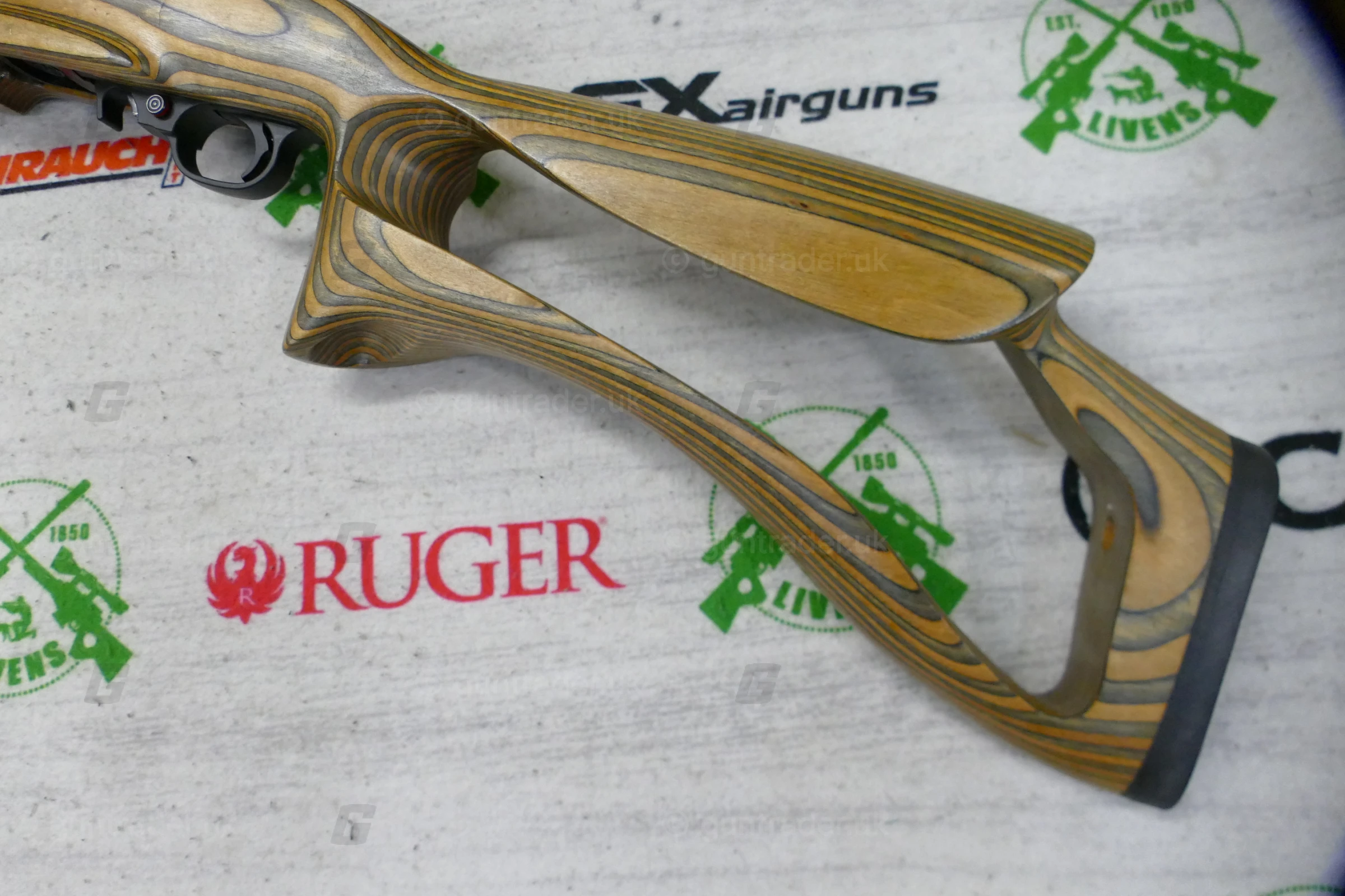 Ruger .22 LR 10/22 Custom - Image 5