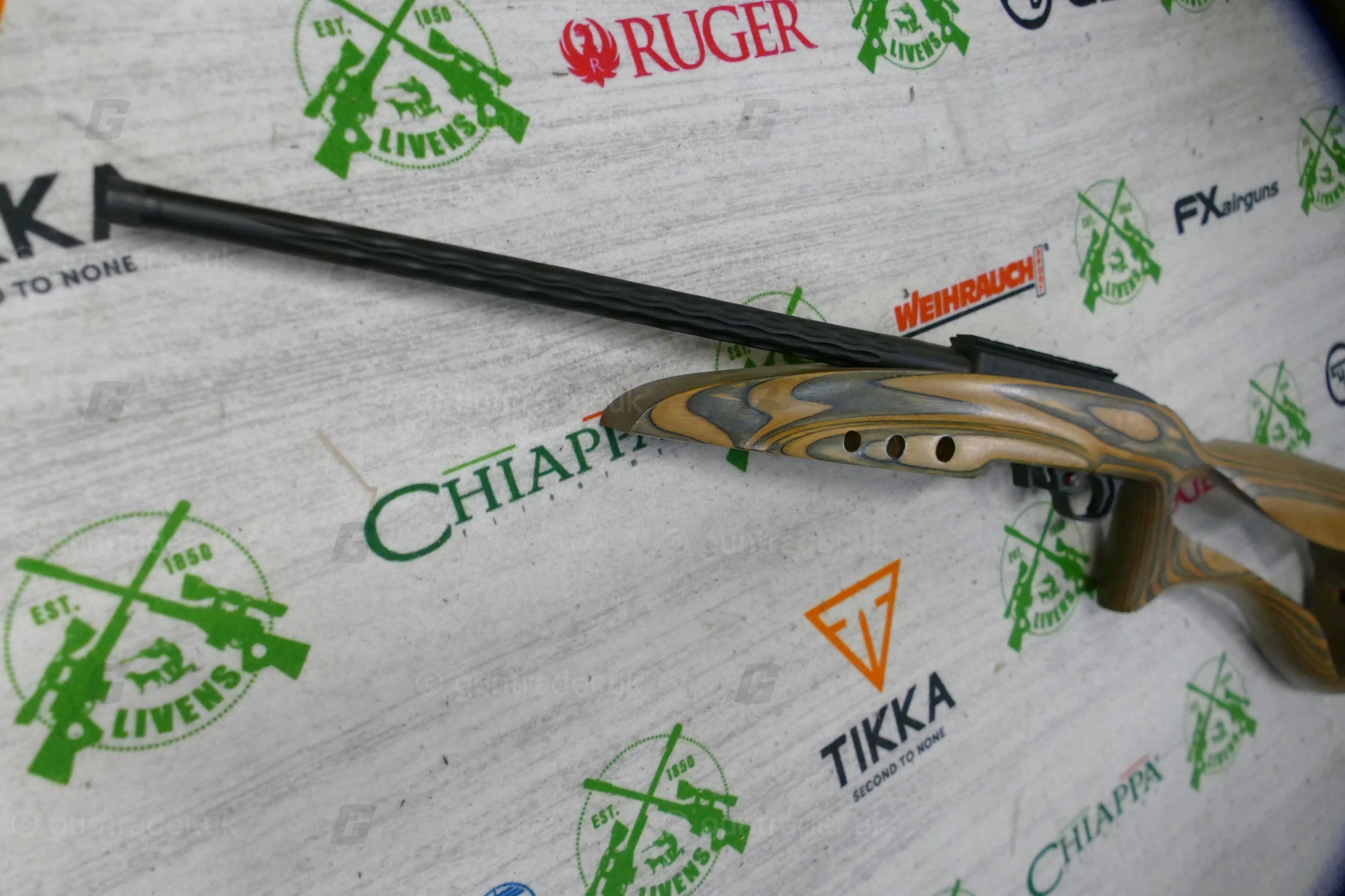 Ruger .22 LR 10/22 Custom - Image 4