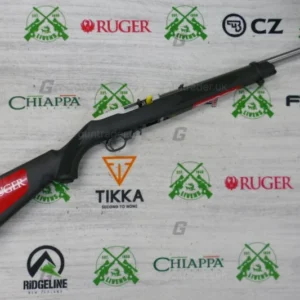 Ruger .22 LR 10/22 CARBINE