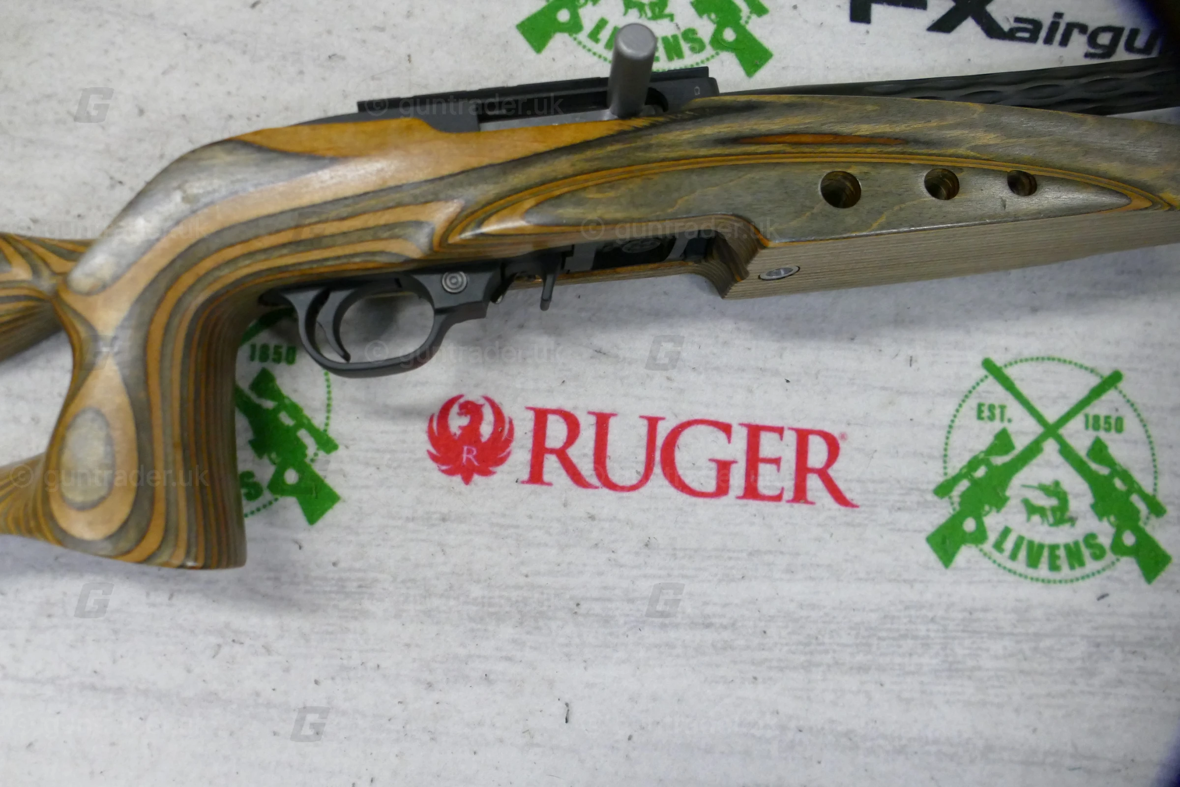 Ruger .22 LR 10/22 Custom - Image 2