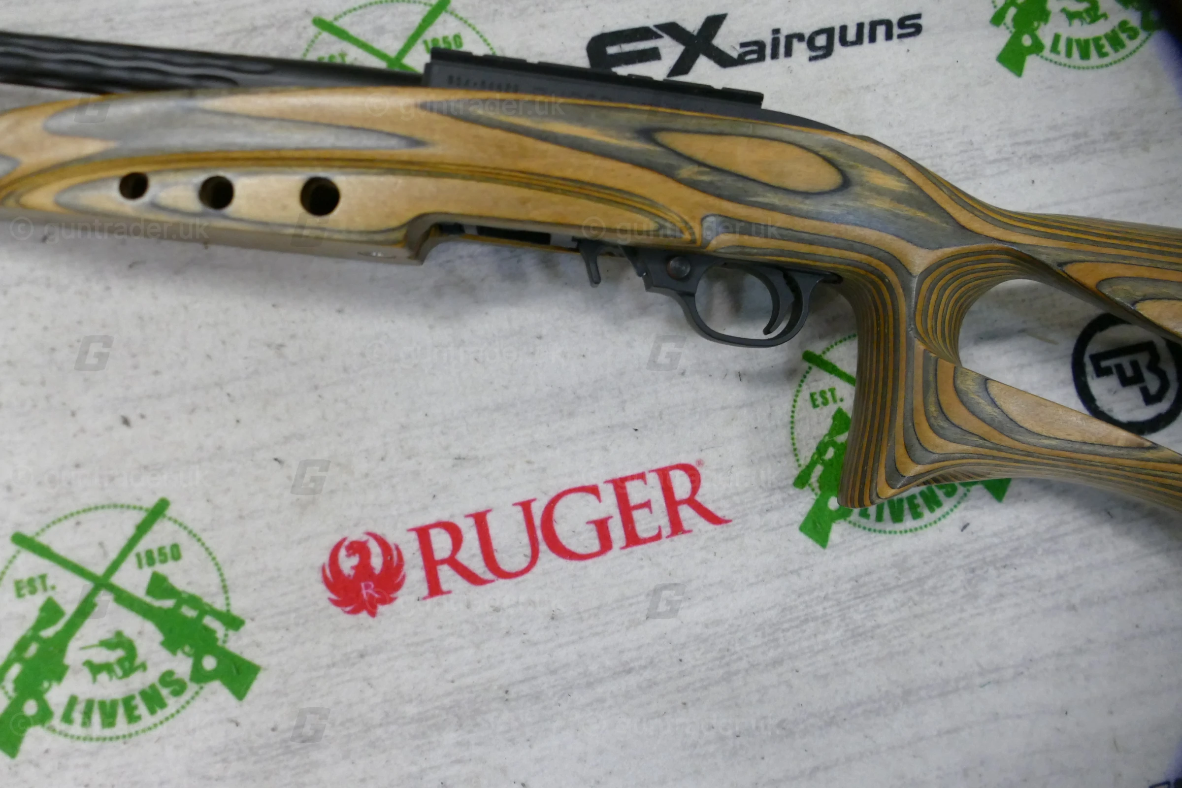 Ruger .22 LR 10/22 Custom - Image 6