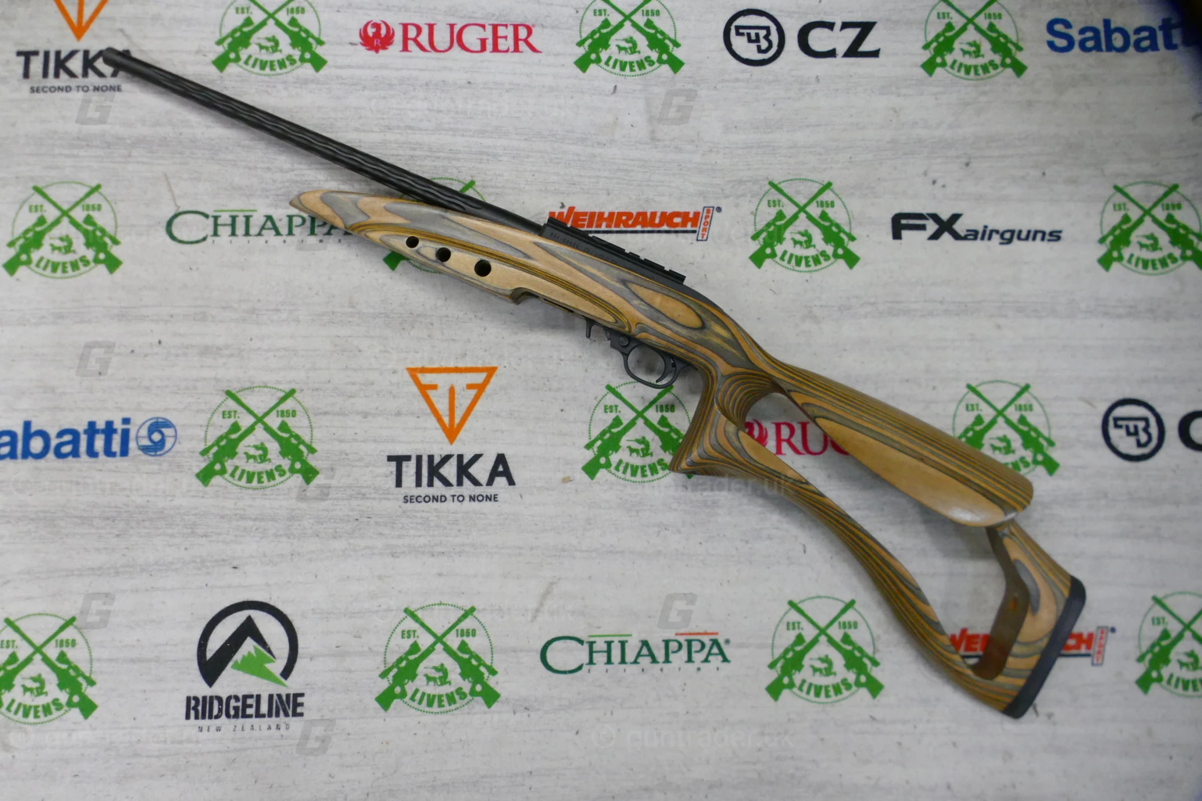 Ruger .22 LR 10/22 Custom - Image 3