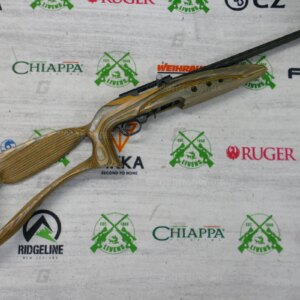Ruger .22 LR 10/22 Custom