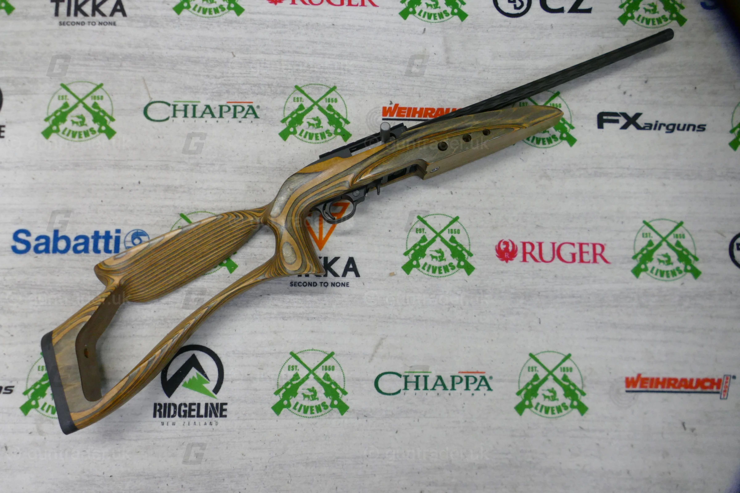 Ruger .22 LR 10/22 Custom